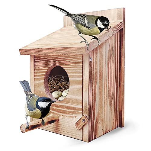 2 * casetta uccelli Villa mangime per uccelli Casa mangime casa con supporto tetto scuro n 